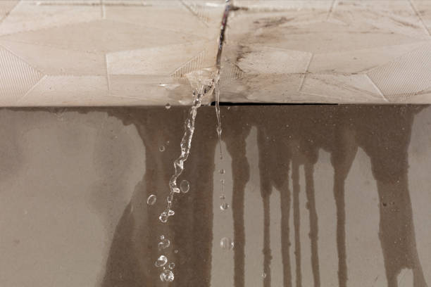 Professional Sewage Cleanup technician working in Shepherd, TX